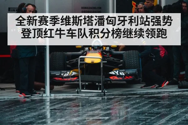 Max Verstappen Red Bull racing
